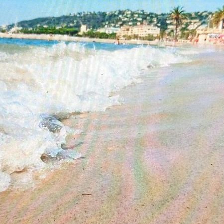 Residence De Vacances Avec Piscine & Transat, A 2 Minutes Des Plages - Bat N2 Vallauris Exteriér fotografie