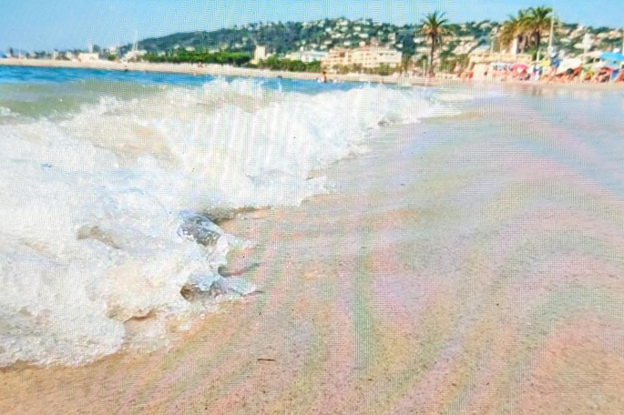 Residence De Vacances Avec Piscine & Transat, A 2 Minutes Des Plages - Bat N2 Vallauris Exteriér fotografie